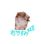 パールドワーフハムスター☆姫たん ver.1（個別スタンプ：5）