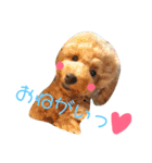 太郎とあぷろーとまさおのいる愉快な毎日（個別スタンプ：2）