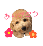 太郎とあぷろーとまさおのいる愉快な毎日（個別スタンプ：5）