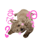 太郎とあぷろーとまさおのいる愉快な毎日（個別スタンプ：7）