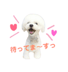 太郎とあぷろーとまさおのいる愉快な毎日（個別スタンプ：9）