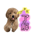 太郎とあぷろーとまさおのいる愉快な毎日（個別スタンプ：13）