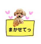 太郎とあぷろーとまさおのいる愉快な毎日（個別スタンプ：14）