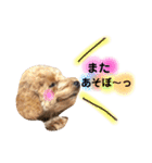 太郎とあぷろーとまさおのいる愉快な毎日（個別スタンプ：15）