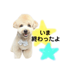 太郎とあぷろーとまさおのいる愉快な毎日（個別スタンプ：17）
