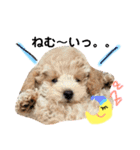 太郎とあぷろーとまさおのいる愉快な毎日（個別スタンプ：22）