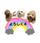 太郎とあぷろーとまさおのいる愉快な毎日（個別スタンプ：24）