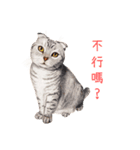 手描きねこちゃん（個別スタンプ：4）
