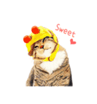 手描きねこちゃん（個別スタンプ：7）