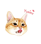 手描きねこちゃん（個別スタンプ：12）