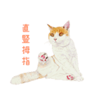 手描きねこちゃん（個別スタンプ：14）