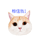 手描きねこちゃん（個別スタンプ：15）