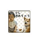 柴犬はちと弟くん（個別スタンプ：18）