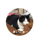 ハチとアンコ 2（個別スタンプ：10）
