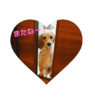 ELLYちゃん1（個別スタンプ：3）