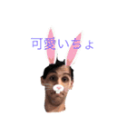 アッスィ（個別スタンプ：6）