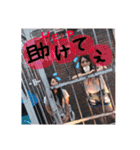 仲良し姉妹？？？（個別スタンプ：29）