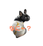 フレンチブルドッグ凛（個別スタンプ：3）
