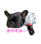 フレンチブルドッグ凛（個別スタンプ：4）