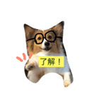 フラッフィーコーギー2（個別スタンプ：7）