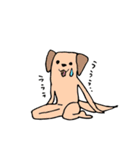 二足歩行犬（個別スタンプ：3）