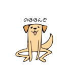 二足歩行犬（個別スタンプ：17）