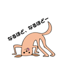 二足歩行犬（個別スタンプ：18）