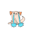 二足歩行犬（個別スタンプ：34）