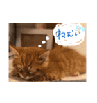 ぼく2（個別スタンプ：2）