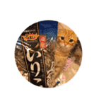 ぼく2（個別スタンプ：3）