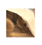 ぼく2（個別スタンプ：7）