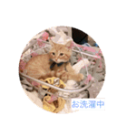 ぼく2（個別スタンプ：8）