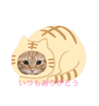 ぼく2（個別スタンプ：10）