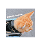 ぼく2（個別スタンプ：12）