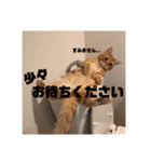ぼく2（個別スタンプ：13）
