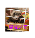りりー(フェレット)（個別スタンプ：19）