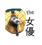 りりー(フェレット)（個別スタンプ：30）
