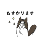 にゃんちぃスタンプ2（個別スタンプ：6）