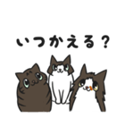にゃんちぃスタンプ2（個別スタンプ：10）