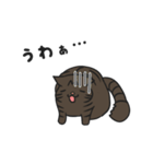 にゃんちぃスタンプ2（個別スタンプ：15）