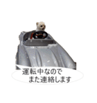 チワワ P兄弟 吹き出し版（個別スタンプ：19）