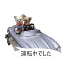 チワワ P兄弟 吹き出し版（個別スタンプ：20）