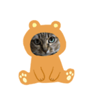 鍵しっぽのちっぴ（個別スタンプ：3）