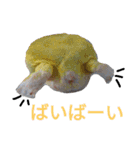 ごんちゃんファミリー（個別スタンプ：2）