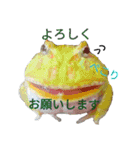 ごんちゃんファミリー（個別スタンプ：9）