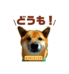 銀太郎（個別スタンプ：10）