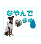 ミニピン頻出ワード（個別スタンプ：3）