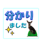 ミニピン頻出ワード（個別スタンプ：4）