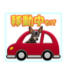 ミニピン頻出ワード（個別スタンプ：5）