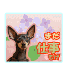 ミニピン頻出ワード（個別スタンプ：6）